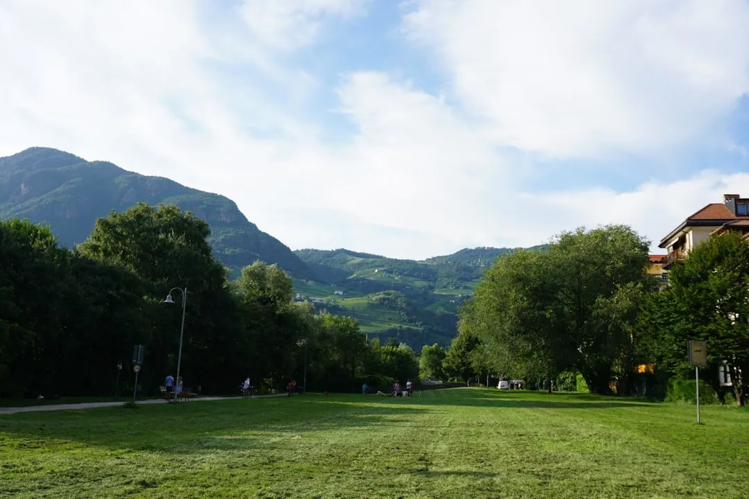 Green meadow surrounded by mountains and trees in an Alpine setting with houses in background