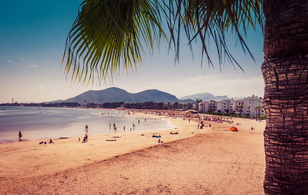 Spain Student Visa: A Complete Guide