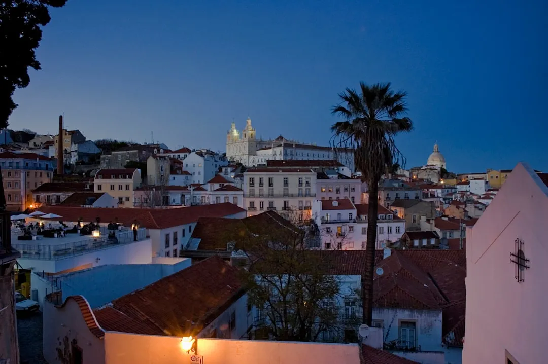 D4 Portugal Student Visa: A Complete Guide