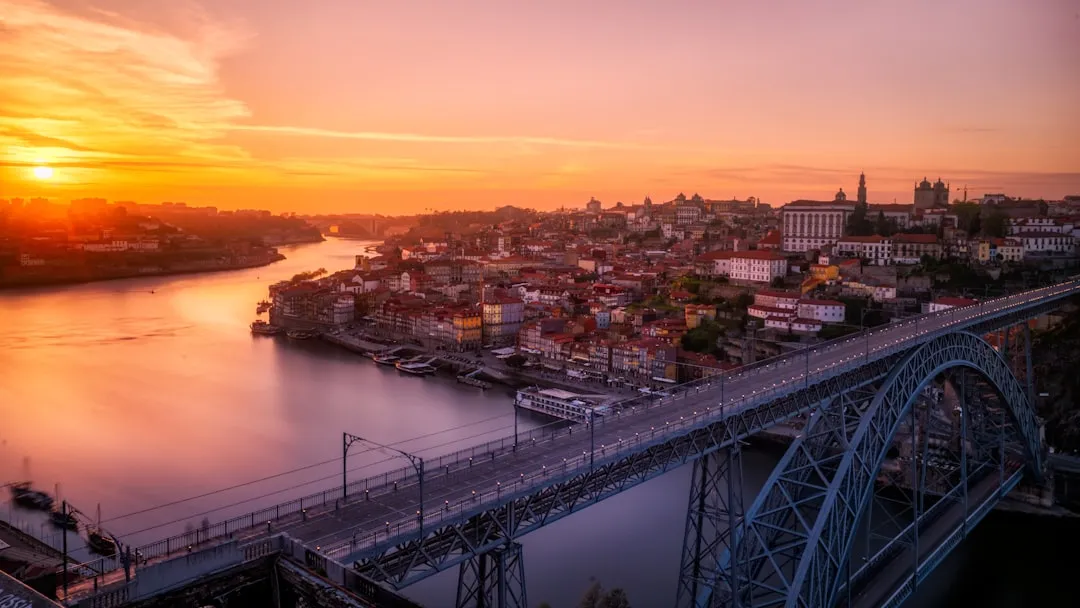 D1 Portugal Work Visa: A Complete Guide