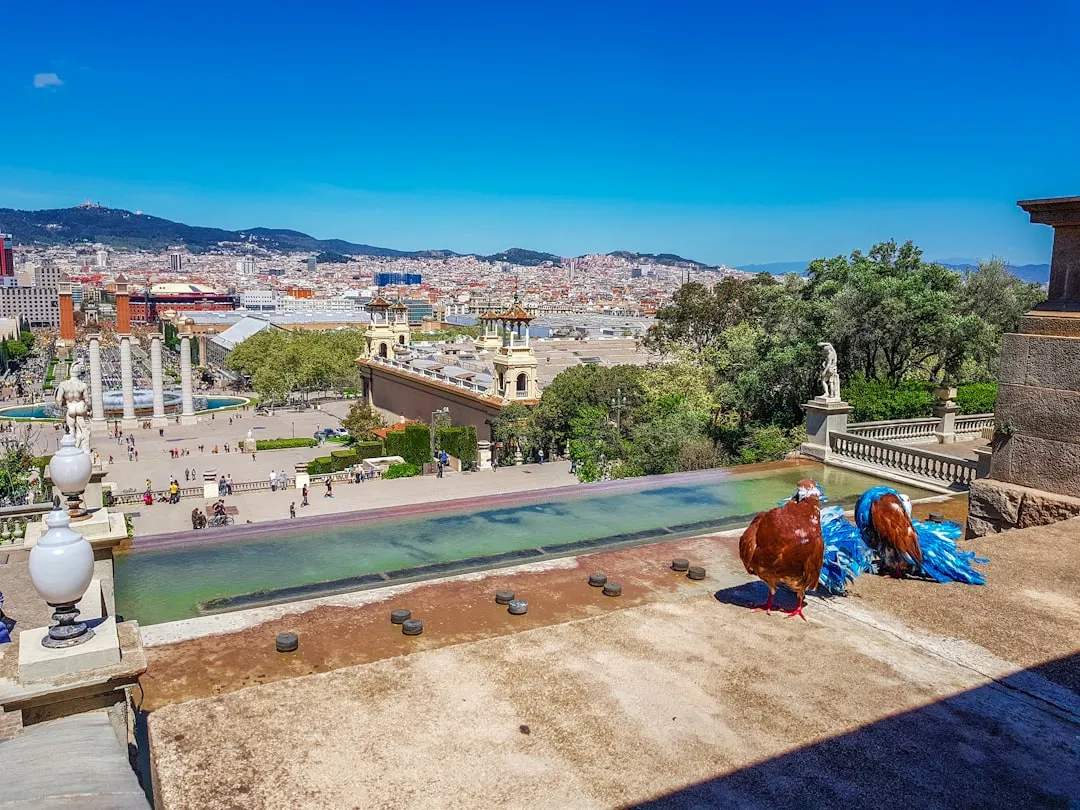 Overlooking Barcelona park with fountains and city buildings in background